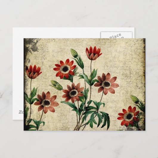 時代を超越したアネモネス ポストカード (正面/裏面)