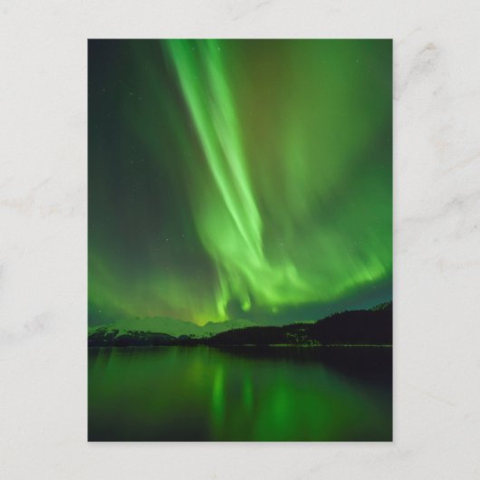 時代を超越したオーロラ ポストカード (正面)