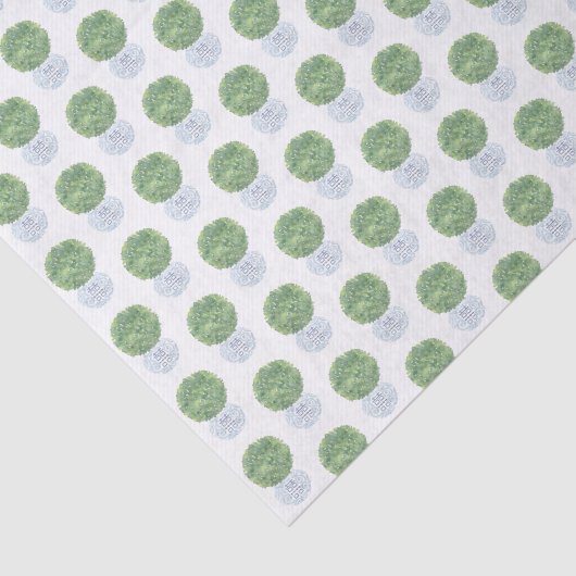 時代を超越したボクウッドのトピアリーボール生姜ジャーのプランター 薄葉紙 (詳細)