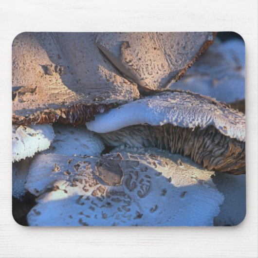 時代を超越したマグノリア マウスパッド (正面)