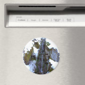 時凍ってい間に… マグネット (インサイチュ (食洗機))