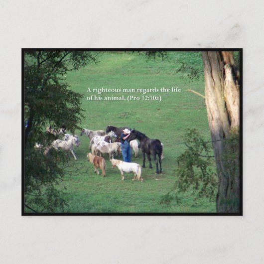 時刻の変更 ポストカード (正面)