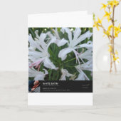 時大切間 カード (黄色い花)