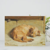 時計のコッカースパニエル犬犬 カード (スタンド正面)