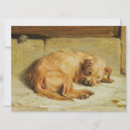 時計のコッカースパニエル犬犬 カード