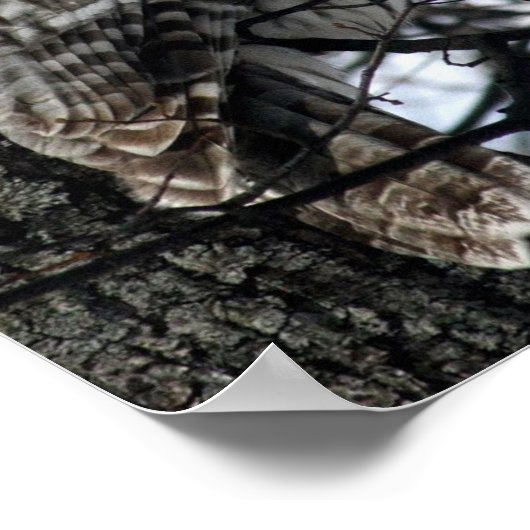 時計のフクロウ ポスター (角)