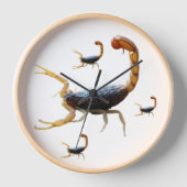 時計回り 壁時計 (正面)