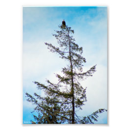 時計塔 フォトプリント           