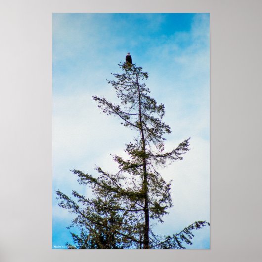 時計塔 ポスター (正面)