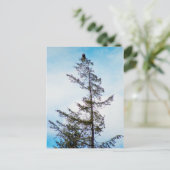 時計塔 ポストカード (スタンド正面)