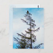 時計塔 ポストカード (正面/裏面)