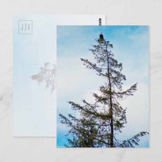 時計塔 ポストカード (正面/裏面)