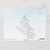 時計塔 ポストカード (裏面)