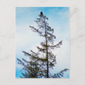 時計塔 ポストカード (正面)