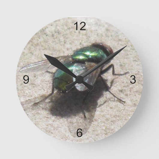 時計-タイム·フライ ラウンド壁時計 (正面)