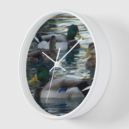 時計 – ダックダックダック (傾斜)