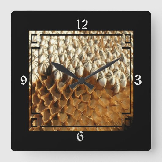 時計 – フレームの乾燥ひまわり (正面)