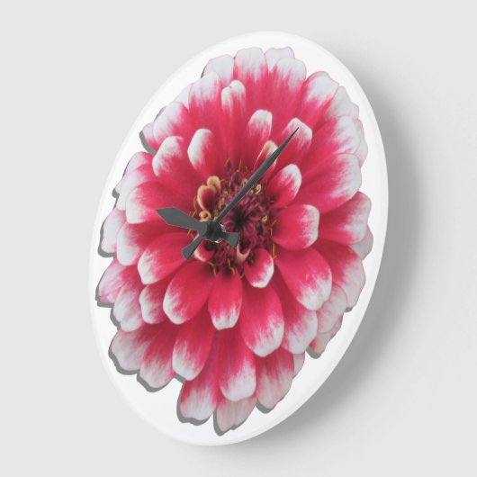 時計 – 二色《植物》百日草 (傾斜)