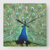 時計 – 孔雀の尾の羽根 (正面)