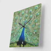 時計 – 孔雀の尾の羽根 (傾斜)