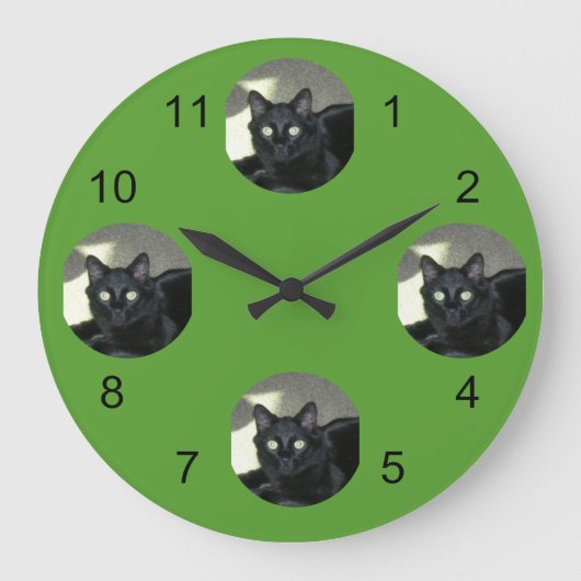 時計 – 注目のペット (正面)