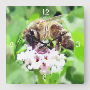 時計 – Honey Bee