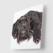 時計Riesenschnauzer スクエア壁時計 (傾斜)