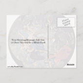 時間と真実の寓話By Nicolas Poussin ポストカード (裏面)