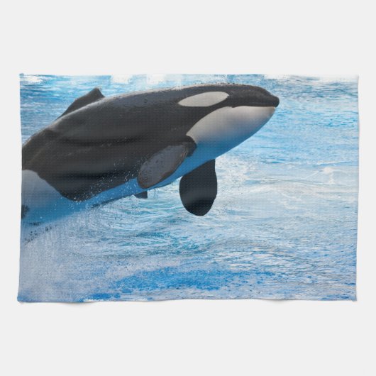 時間の台所タオルのクジラ キッチンタオル (横)
