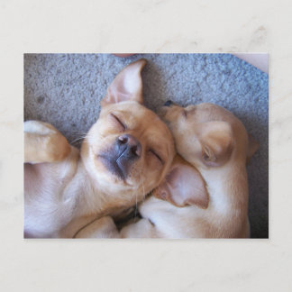 時間の瞬間 ポストカード