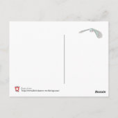 時間の砂… ポストカード (裏面)