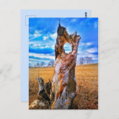 時間はがき ポストカード (正面/裏面)