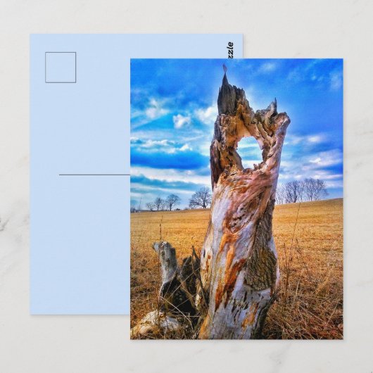 時間はがき ポストカード (正面/裏面)