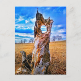 時間はがき ポストカード