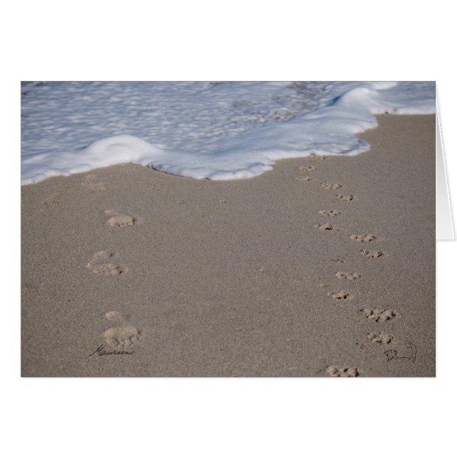 時間は救ない。賢く過ごす (正面横)