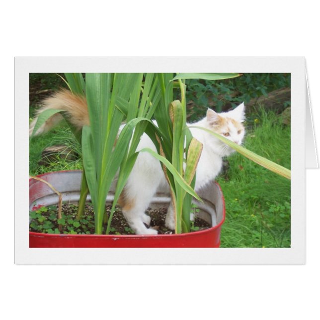 時間をかけてい遊「お前の誕生日」 (正面横)