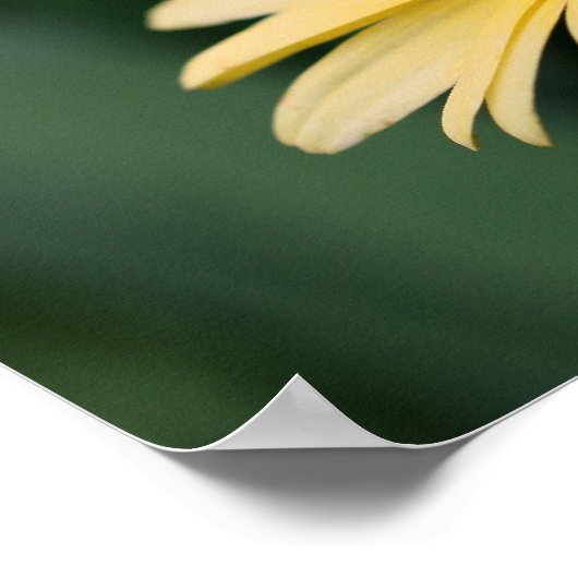 時間をかけてデイジー感動的引用文 ポスター (角)