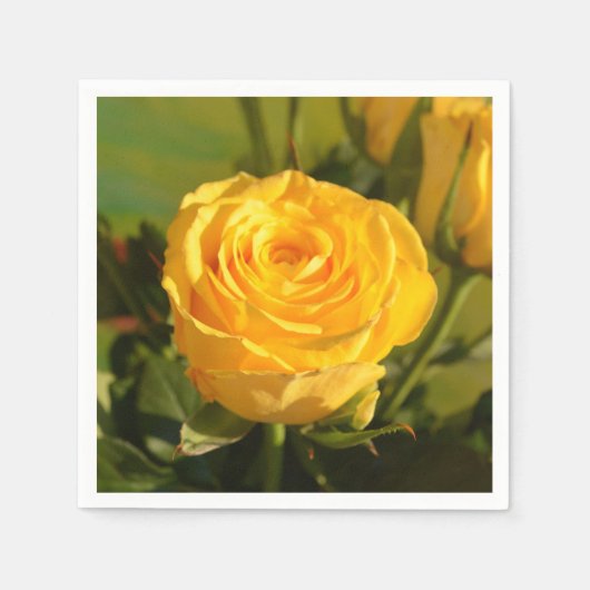 時間をかけて黄色いバラの匂いを嗅ぐ スタンダードカクテルナプキン (正面)