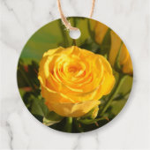 時間をかけて黄色いバラの匂いを嗅ぐ フェイバータグ (正面)