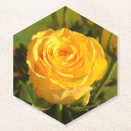 時間をかけて黄色いバラの匂いを嗅ぐ ペーパーコースター