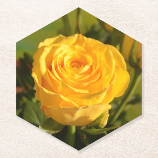 時間をかけて黄色いバラの匂いを嗅ぐ ペーパーコースター (正面)