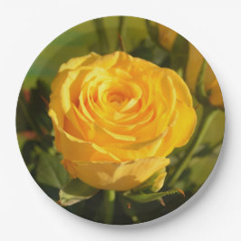 時間をかけて黄色いバラの匂いを嗅ぐ ペーパープレート