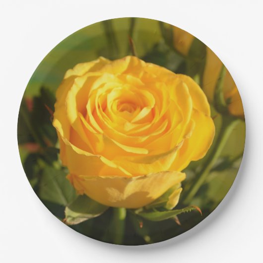 時間をかけて黄色いバラの匂いを嗅ぐ ペーパープレート (正面)