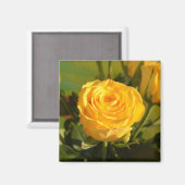 時間をかけて黄色いバラの匂いを嗅ぐ マグネット (正面/裏面)