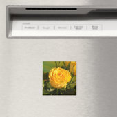 時間をかけて黄色いバラの匂いを嗅ぐ マグネット (インサイチュ (食洗機))