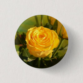 時間をかけて黄色いバラの匂いを嗅ぐ 缶バッジ