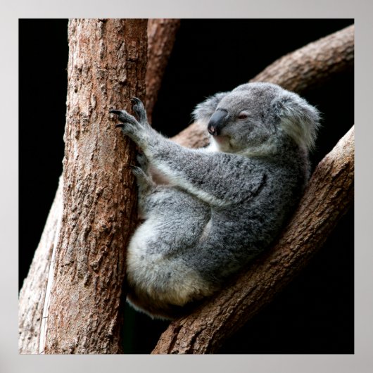 時間を取る ポスター (正面)