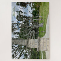 時間を通じて到達 – Quiet Emberパズル