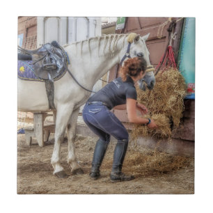 時間を食べ物を与えることのサドルを置かれた馬 タイル