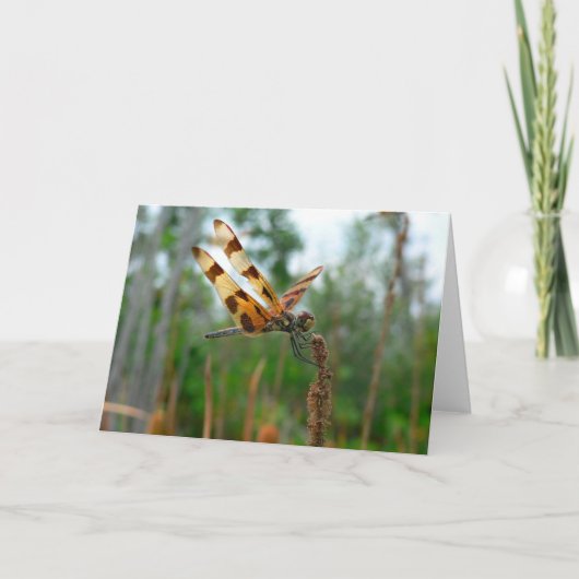 時間を食べ物を与えること カード (正面)